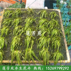 聚酯纖維生態沉床